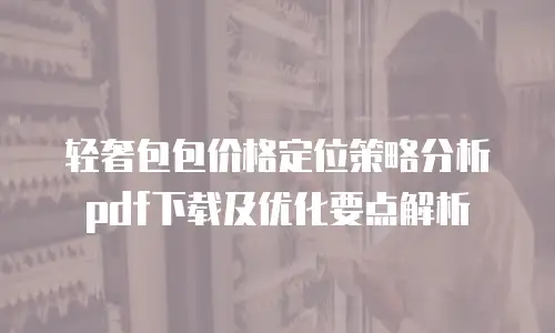 轻奢包包价格定位策略分析pdf下载及优化要点解析