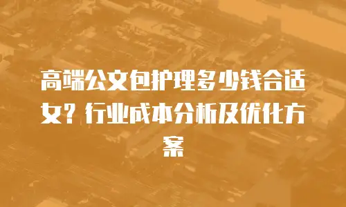高端公文包护理多少钱合适女？行业成本分析及优化方案
