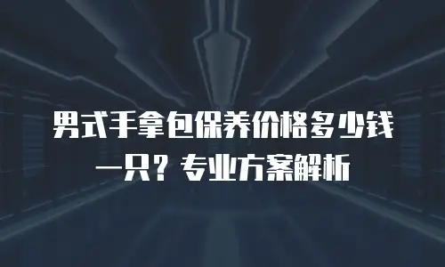 男式手拿包保养价格多少钱一只？专业方案解析