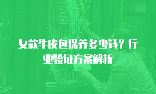 女款牛皮包保养多少钱？行业验证方案解析