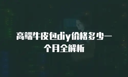 高端牛皮包diy价格多少一个月全解析