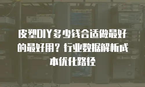 皮塑DIY多少钱合适做最好的最好用？行业数据解析成本优化路径