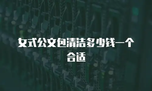 女式公文包清洁多少钱一个合适