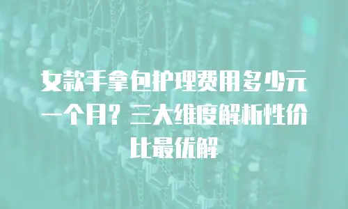 女款手拿包护理费用多少元一个月？三大维度解析性价比最优解