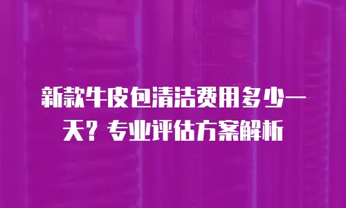 新款牛皮包清洁费用多少一天？专业评估方案解析