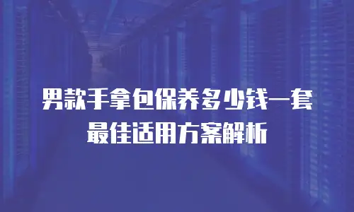男款手拿包保养多少钱一套 最佳适用方案解析