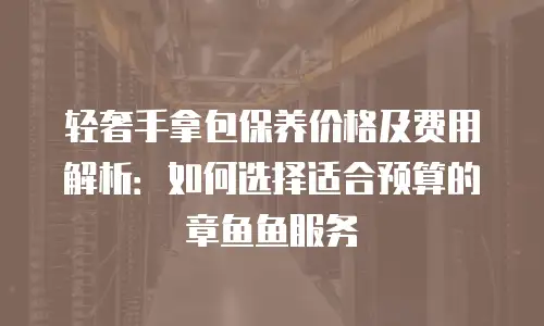 轻奢手拿包保养价格及费用解析：如何选择适合预算的章鱼鱼服务