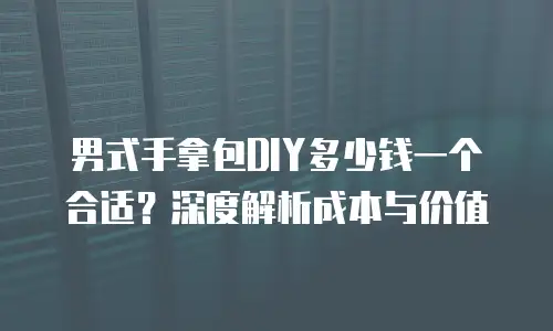 男式手拿包DIY多少钱一个合适？深度解析成本与价值