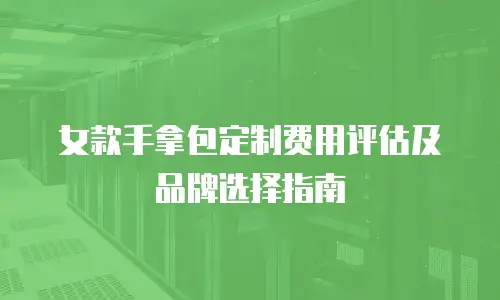 女款手拿包定制费用评估及品牌选择指南