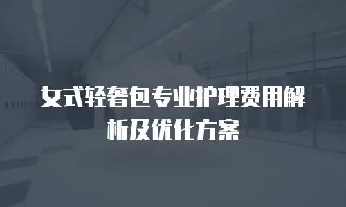 女式轻奢包专业护理费用解析及优化方案