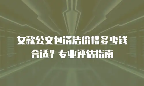 女款公文包清洁价格多少钱合适？专业评估指南