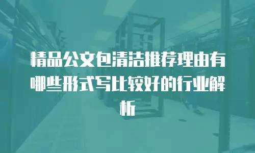 精品公文包清洁推荐理由有哪些形式写比较好的行业解析