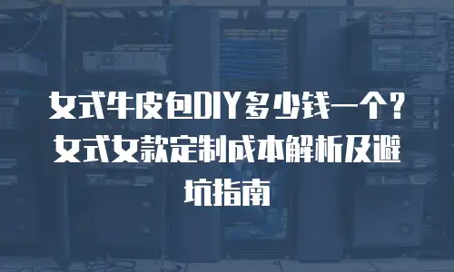 女式牛皮包DIY多少钱一个？女式女款定制成本解析及避坑指南