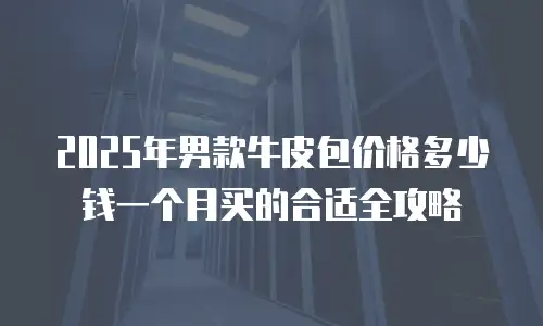 2025年男款牛皮包价格多少钱一个月买的合适全攻略