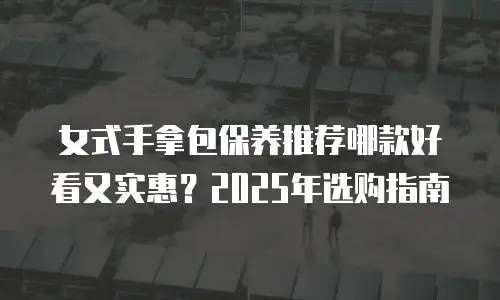 女式手拿包保养推荐哪款好看又实惠？2025年选购指南