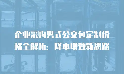企业采购男式公文包定制价格全解析：降本增效新思路