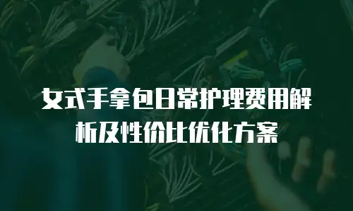 女式手拿包日常护理费用解析及性价比优化方案