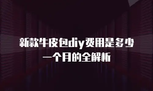 新款牛皮包diy费用是多少一个月的全解析