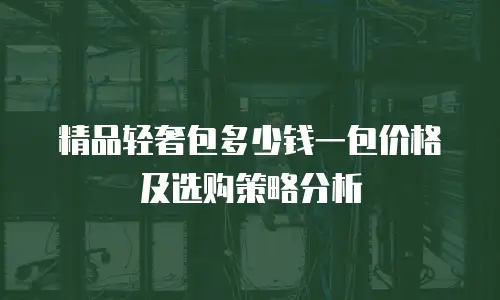 精品轻奢包多少钱一包价格及选购策略分析