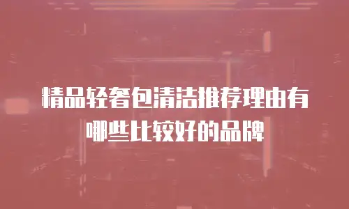 精品轻奢包清洁推荐理由有哪些比较好的品牌
