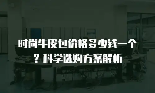 时尚牛皮包价格多少钱一个？科学选购方案解析
