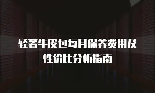 轻奢牛皮包每月保养费用及性价比分析指南