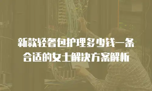 新款轻奢包护理多少钱一条合适的女士解决方案解析