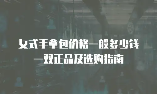 女式手拿包价格一般多少钱一双正品及选购指南