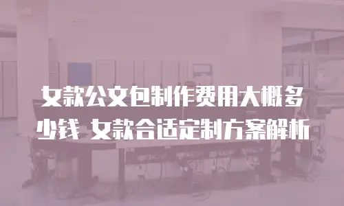 女款公文包制作费用大概多少钱 女款合适定制方案解析