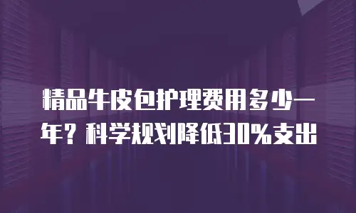 精品牛皮包护理费用多少一年？科学规划降低30%支出