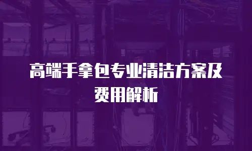 高端手拿包专业清洁方案及费用解析
