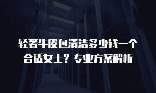 轻奢牛皮包清洁多少钱一个合适女士？专业方案解析