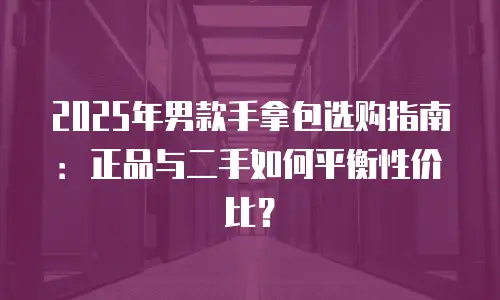 2025年男款手拿包选购指南：正品与二手如何平衡性价比？