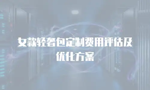 女款轻奢包定制费用评估及优化方案