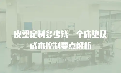 皮塑定制多少钱一个床垫及成本控制要点解析