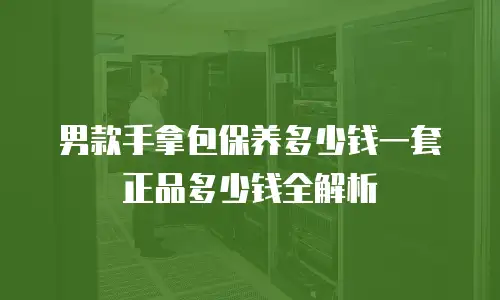 男款手拿包保养多少钱一套正品多少钱全解析