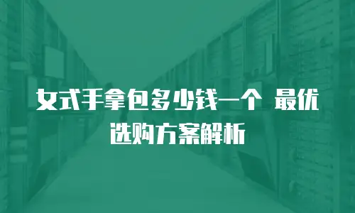女式手拿包多少钱一个 最优选购方案解析