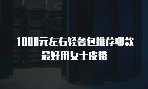 1000元左右轻奢包推荐哪款最好用女士皮带