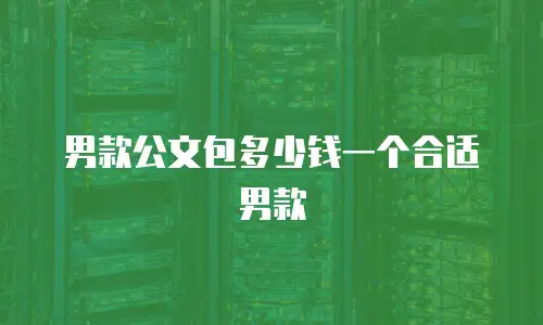 男款公文包多少钱一个合适男款