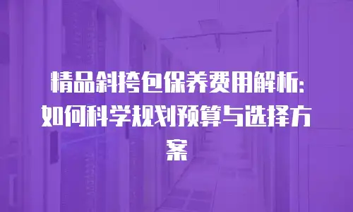 精品斜挎包保养费用解析：如何科学规划预算与选择方案