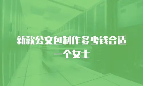 新款公文包制作多少钱合适一个女士