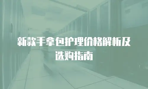 新款手拿包护理价格解析及选购指南