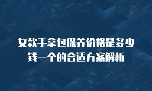 女款手拿包保养价格是多少钱一个的合适方案解析