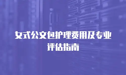 女式公文包护理费用及专业评估指南