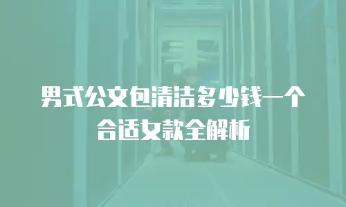 男式公文包清洁多少钱一个合适女款全解析
