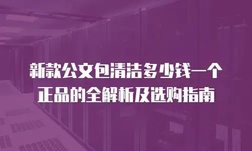 新款公文包清洁多少钱一个正品的全解析及选购指南