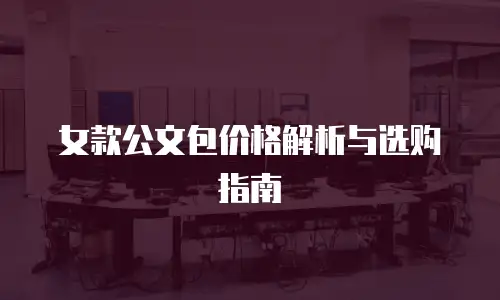 女款公文包价格解析与选购指南