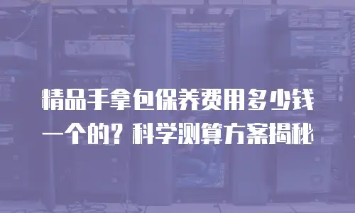 精品手拿包保养费用多少钱一个的？科学测算方案揭秘