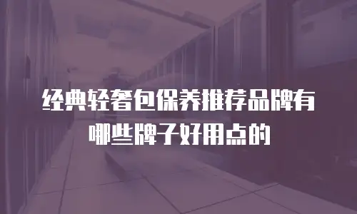 经典轻奢包保养推荐品牌有哪些牌子好用点的