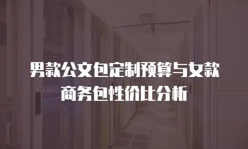 男款公文包定制预算与女款商务包性价比分析